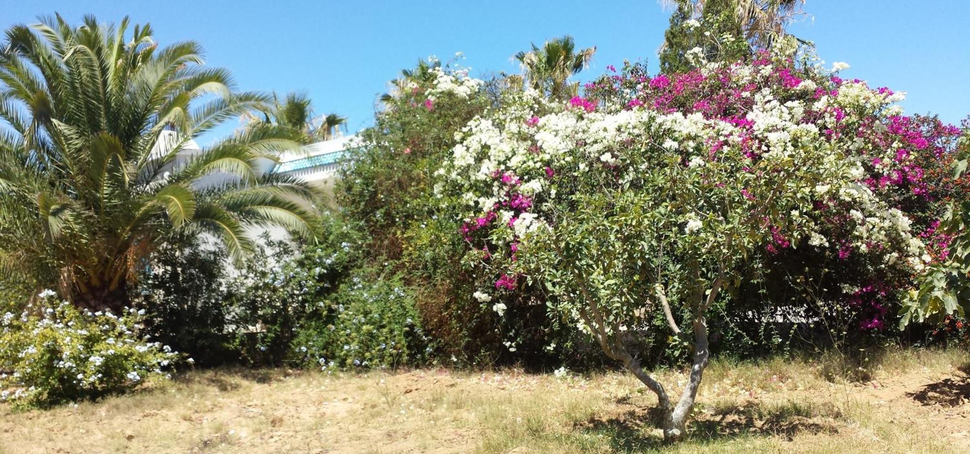 Maison Villa Independante Sousse Chott-Meriem, Jardin Arbore Chott Meriem Exterior photo